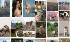 245+ Hilarious Knock Knock Jokes for Teenagers