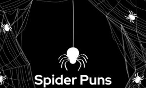 425+ Spider Puns 🕷️😂 That Will Spin You Into Laughter