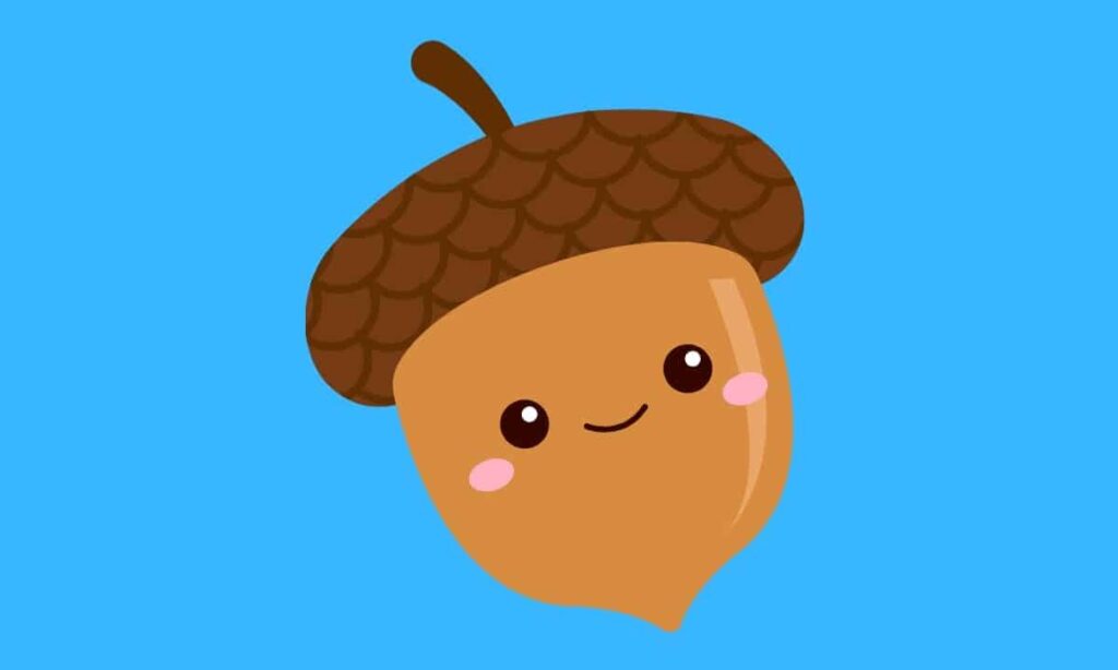 Cute Acorn Jokes for Kids