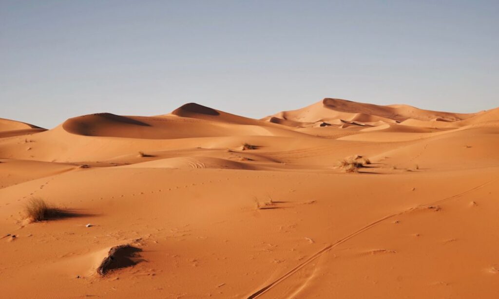 Desert Adventures & Travel Puns