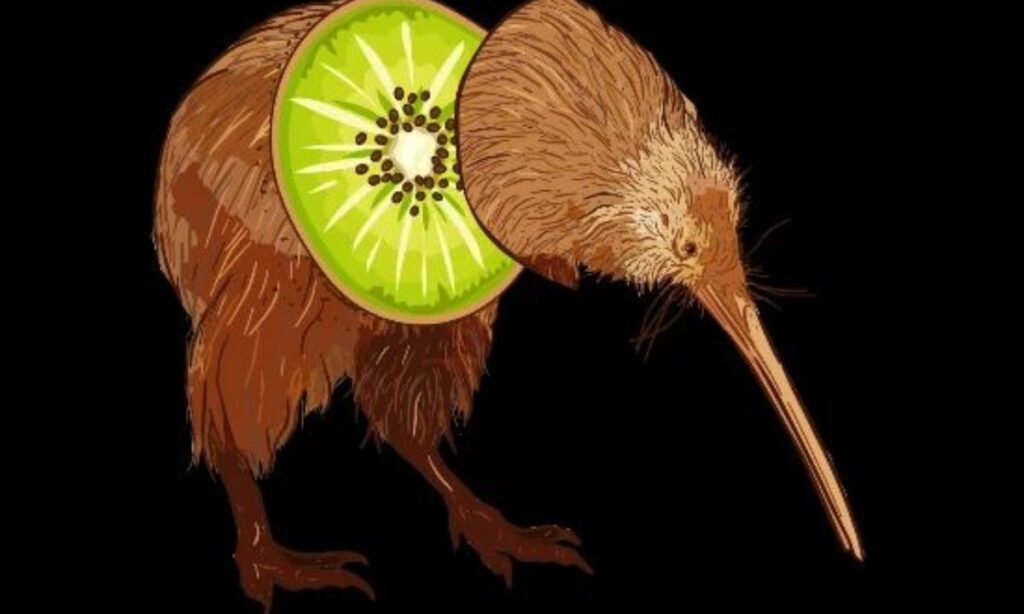 New Zealand Kiwi Humor
