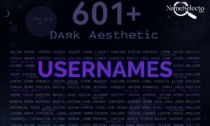 601+ Dark Aesthetic Usernames That Are Mysterious, Edgy & Stylish