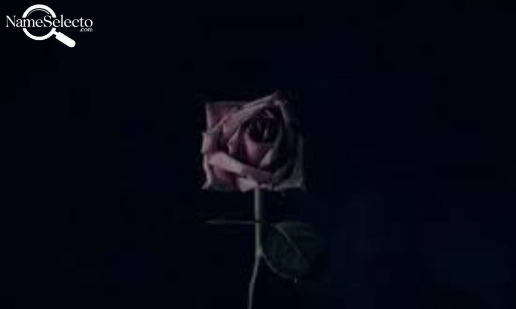 Awesome Emo Usernames