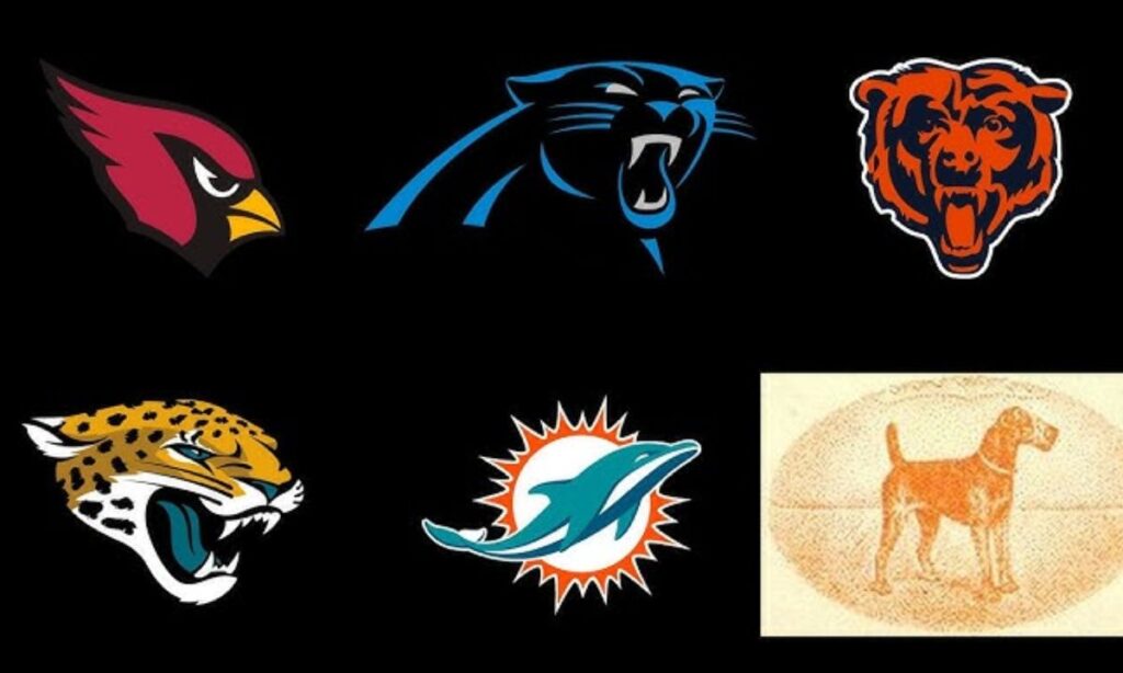 Football Team Names by Animal Mascot