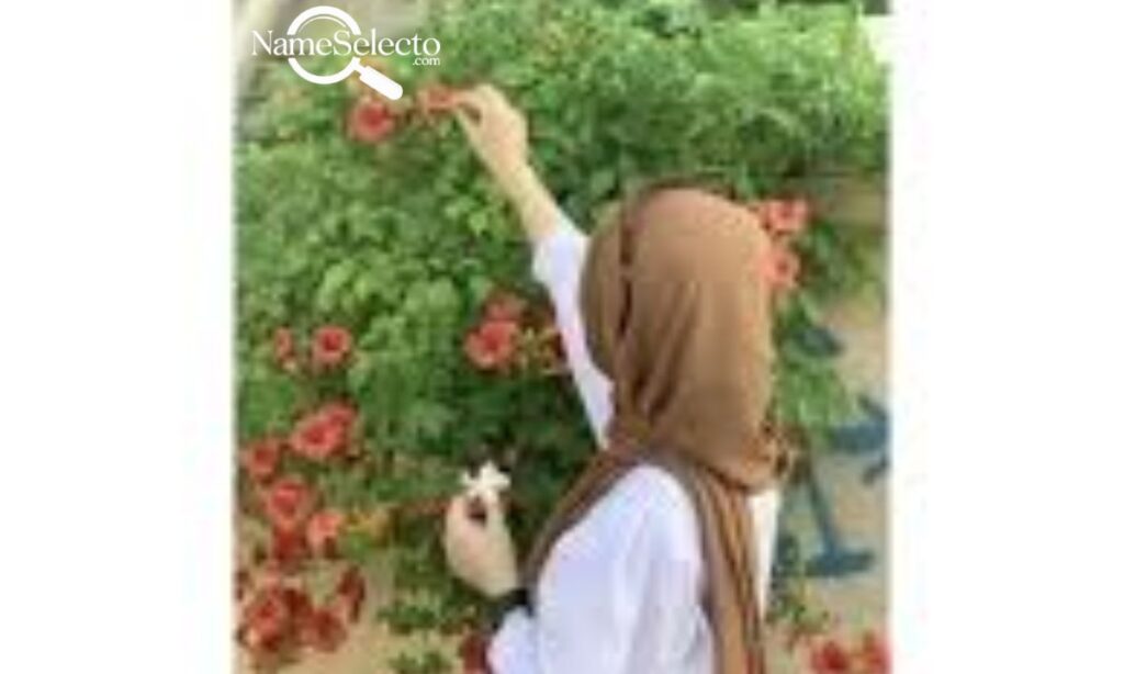 Islamic Usernames for Instagram for Girl