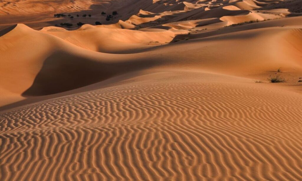 Travel and Geography Arabic Jokes