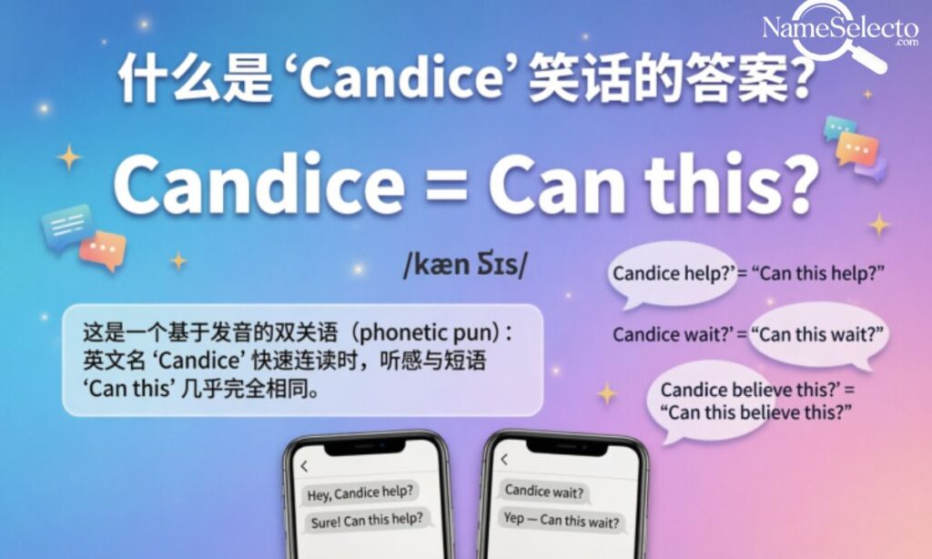 What is the Answer to the Candice Joke in English